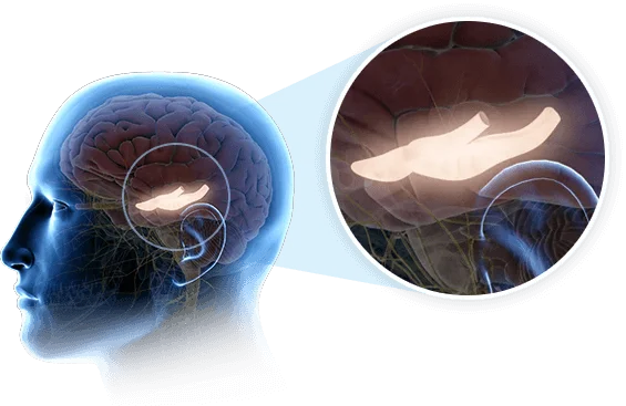 The Genius Wave Blood Sugar Support The Genius Wave Blood Sugar Support